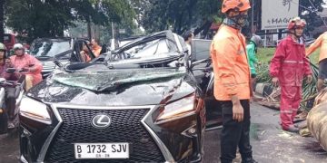 Pohon Tumbang Timpa Mobil Mewah di Pondok Indah, Sopir Tewas di Tempat